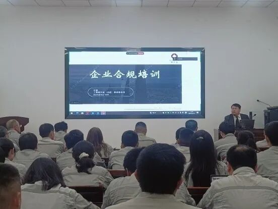 1757928793381953.jpg 3.jpg